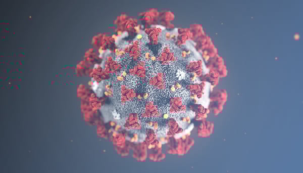 Il webmarketing al tempo del coronavirus (esperienza personale)