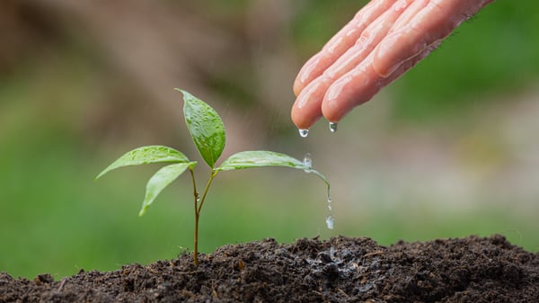 Email nurturing: cos'è e come trasforma i lead in clienti