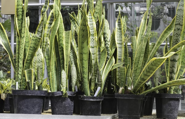Lead nurturing, cos'è, come farla ed esempi