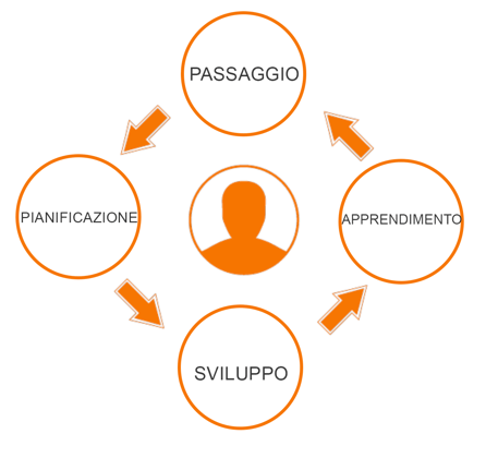 growth driven design ciclo