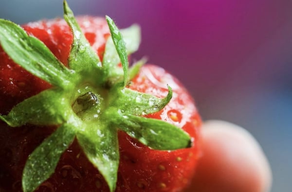 L'etica inbound marketing rende il web un posto migliore