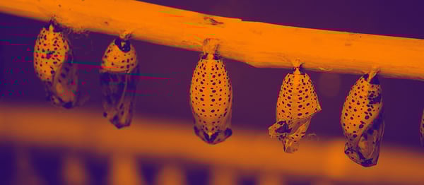 La digital transformation nel marketing e nelle vendite