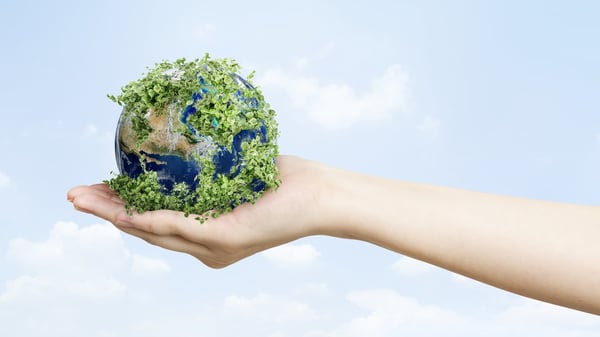 Greenwashing marketing: i rischi di questa strategia per le imprese