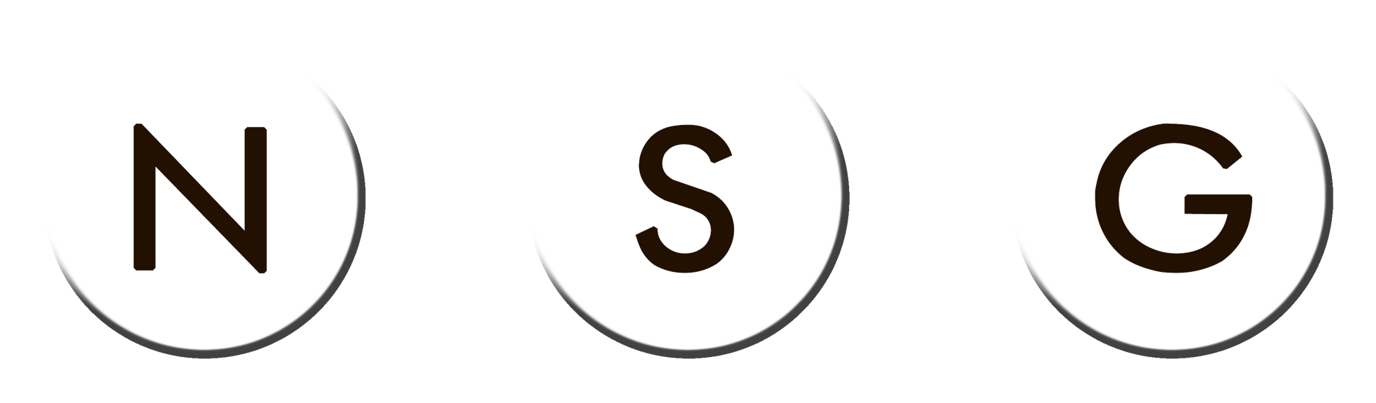 NSG_logotipo_1