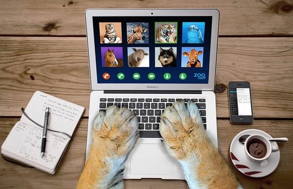 Come creare un webinar che spacca!