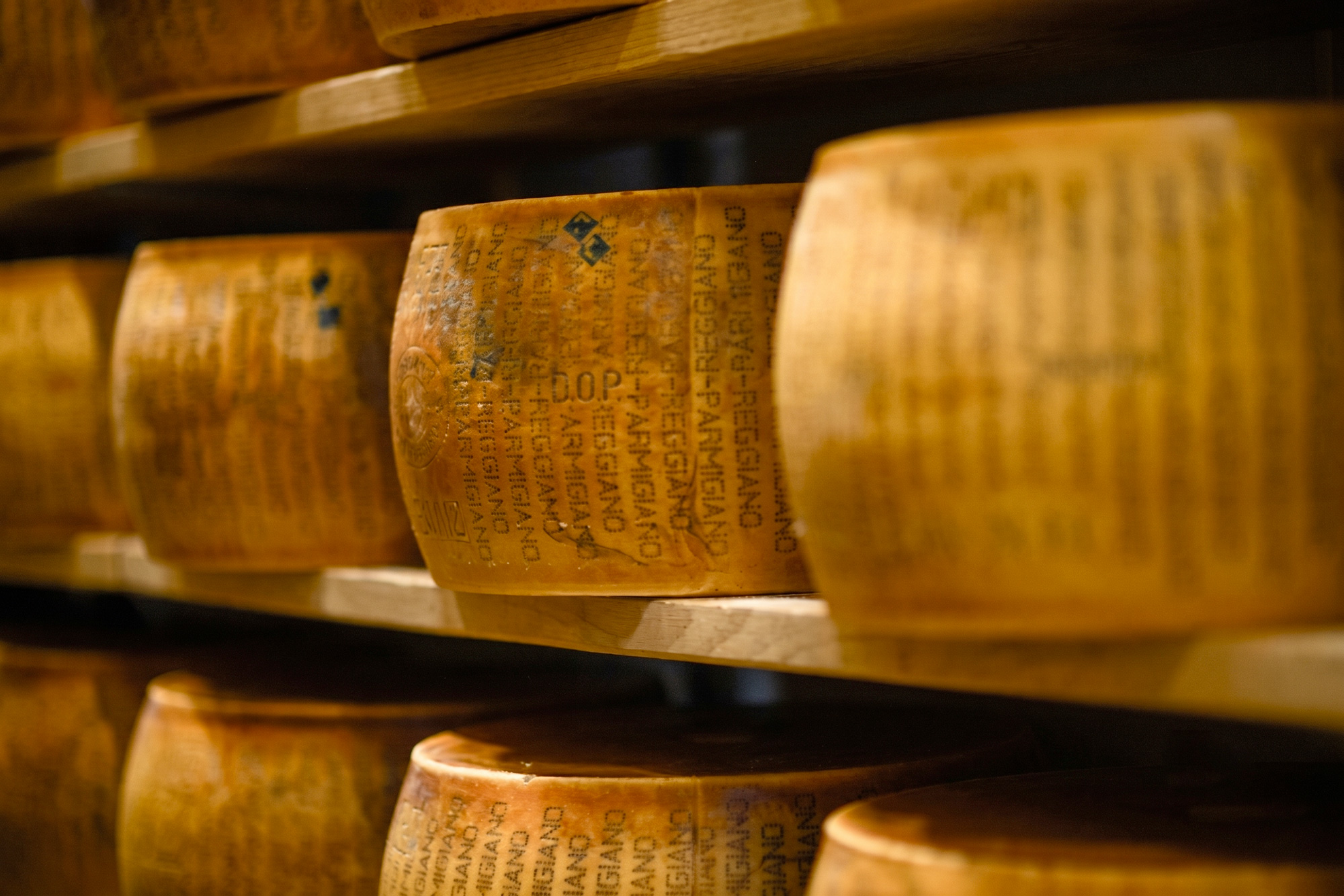 Formaggio parmigiano Reggiano conservato in cantina stagionato