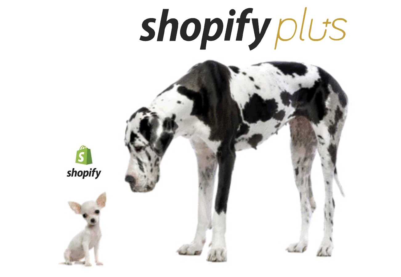 Perché dovresti passare da Shopify a Shopify Plus?